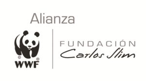 Alianza-WWF-FCS-logo