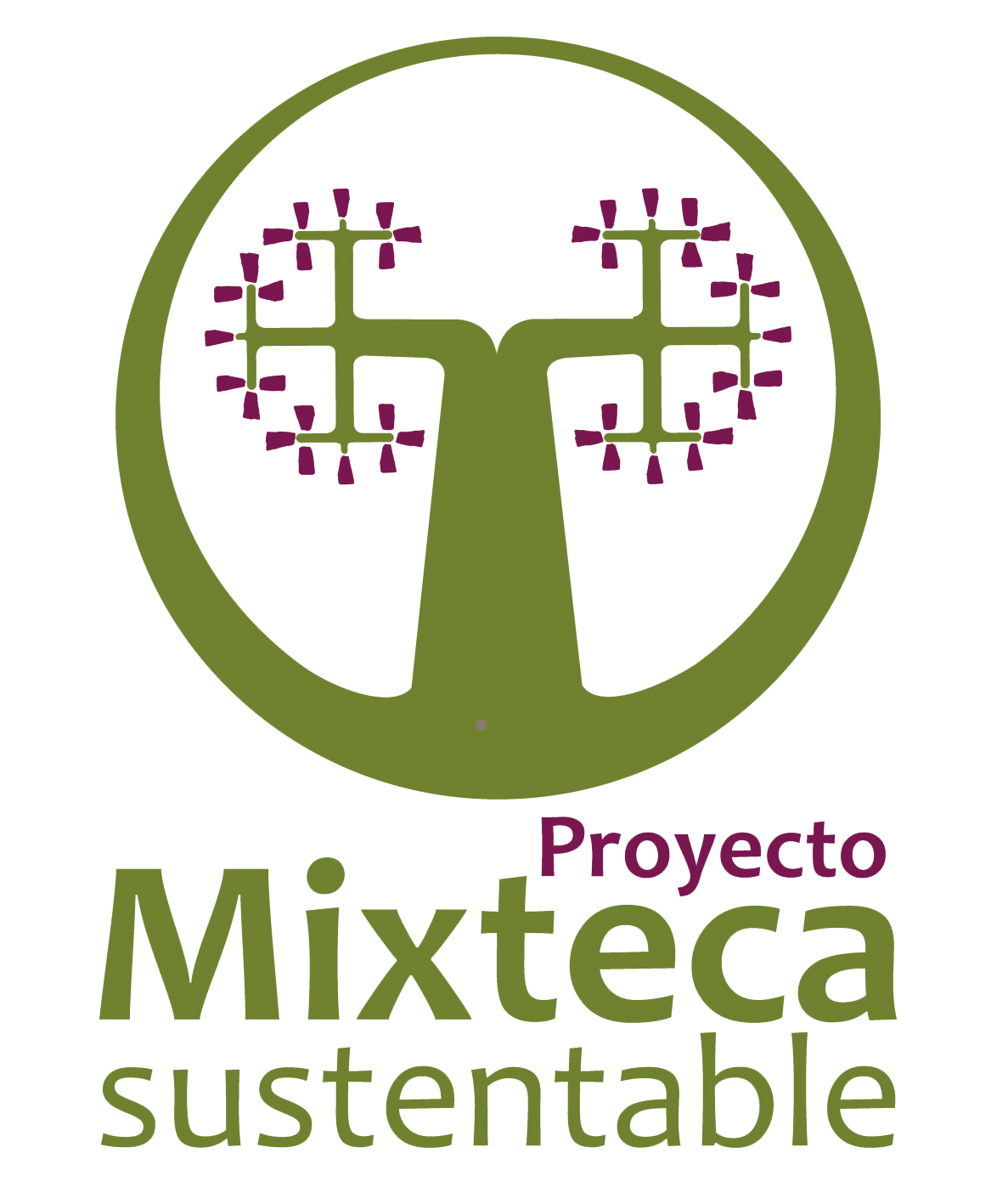 Proyecto Mixteca Sustentable AC